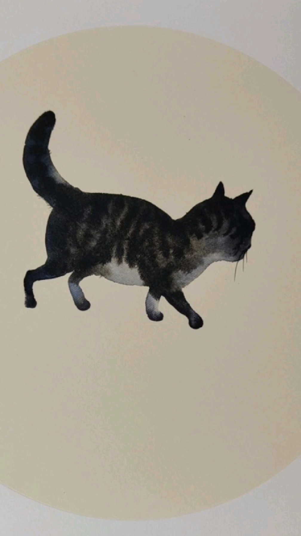 画一只行走的猫咪,简单易学!