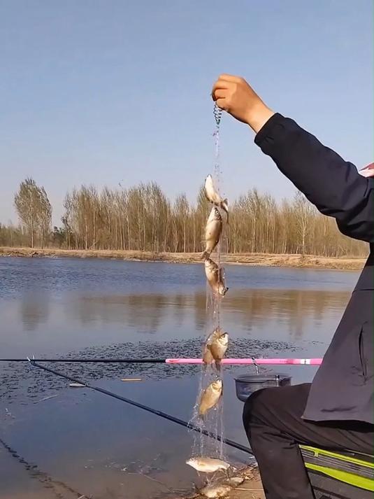 自从用了霸王捆,老公钓鱼更厉害了,家里天天有鱼吃,太好用了