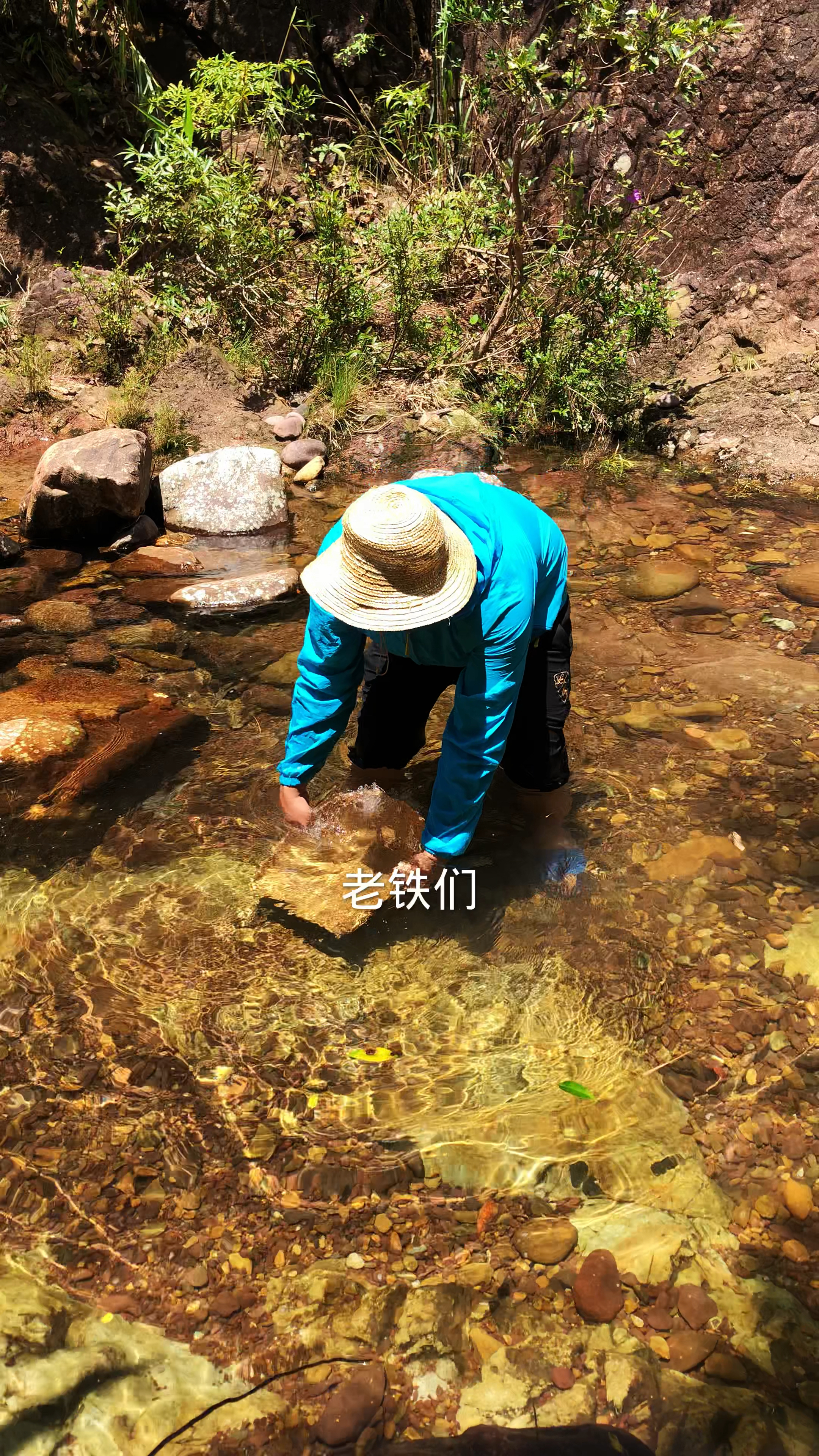 生长在山溪里的这种小鱼太狡猾了,用畚笠也难抓的到