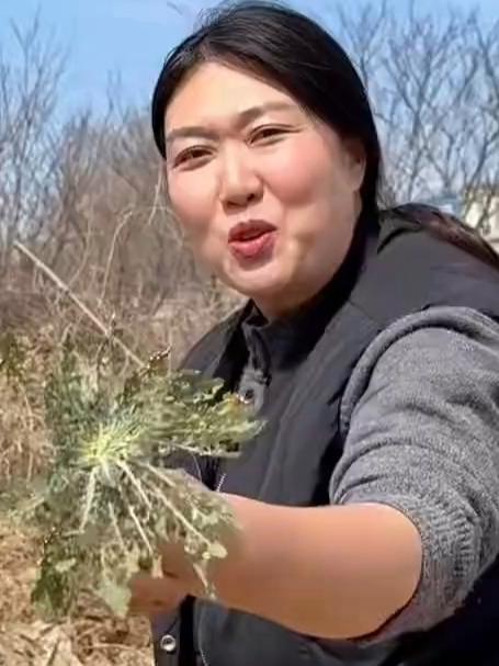 第一次吃泥胡菜，做豆么球好吃，微苦！据说吃了对身体特别好，你吃过吗？#农村美食##野菜##