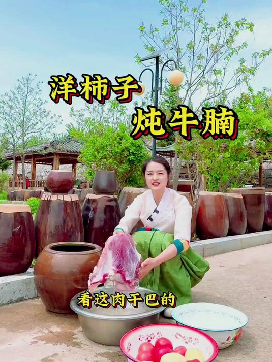 洋柿子炖牛腩