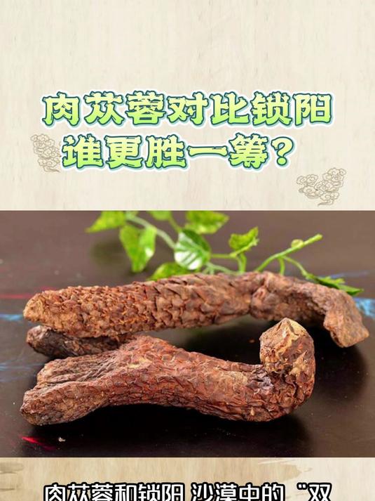 肉苁蓉对比锁阳谁更胜一筹?