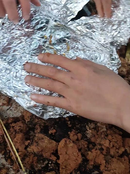 孩子拿滴水观音的叶子做叫花鸡，幸亏没熟，福大命大