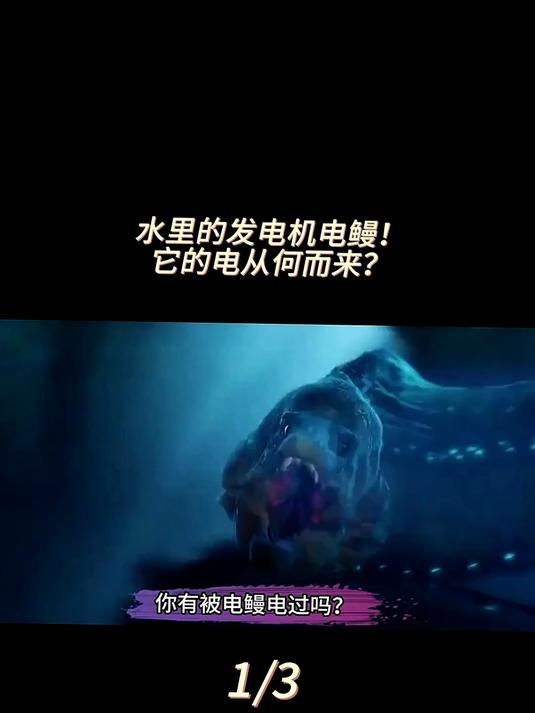 电鳗被誉为水里的发电机,它身上的电,从何而来?
