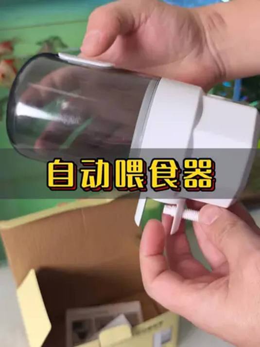 出远门家无人,鱼儿喂食咋解决?便宜好用自动喂食器来啦