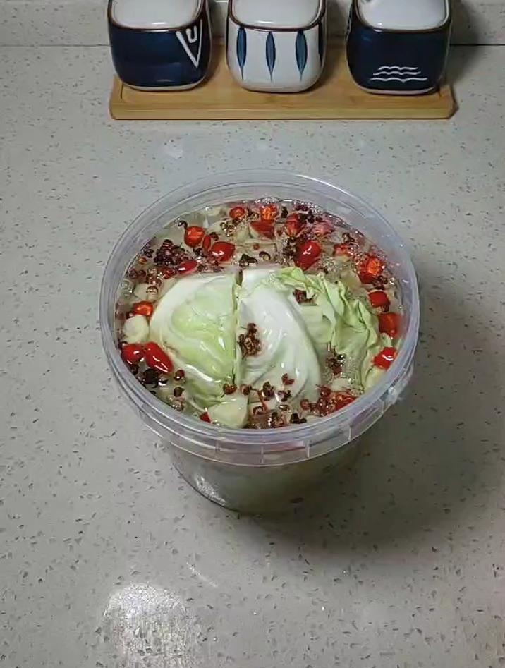 制作泡菜用什么菌