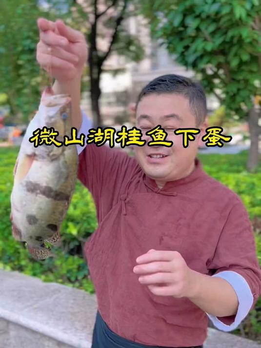 这道菜叫微山湖桂鱼下蛋，大家来学学