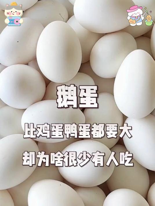 送礼有心意!礼盒装新鲜鹅蛋,颗颗饱满无破损