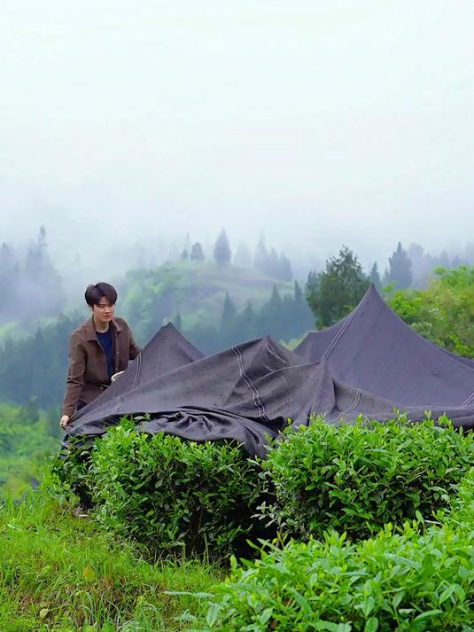 一口抹茶奶茶，仿佛置身绿色茶园。是我在忙碌生活中的小确幸