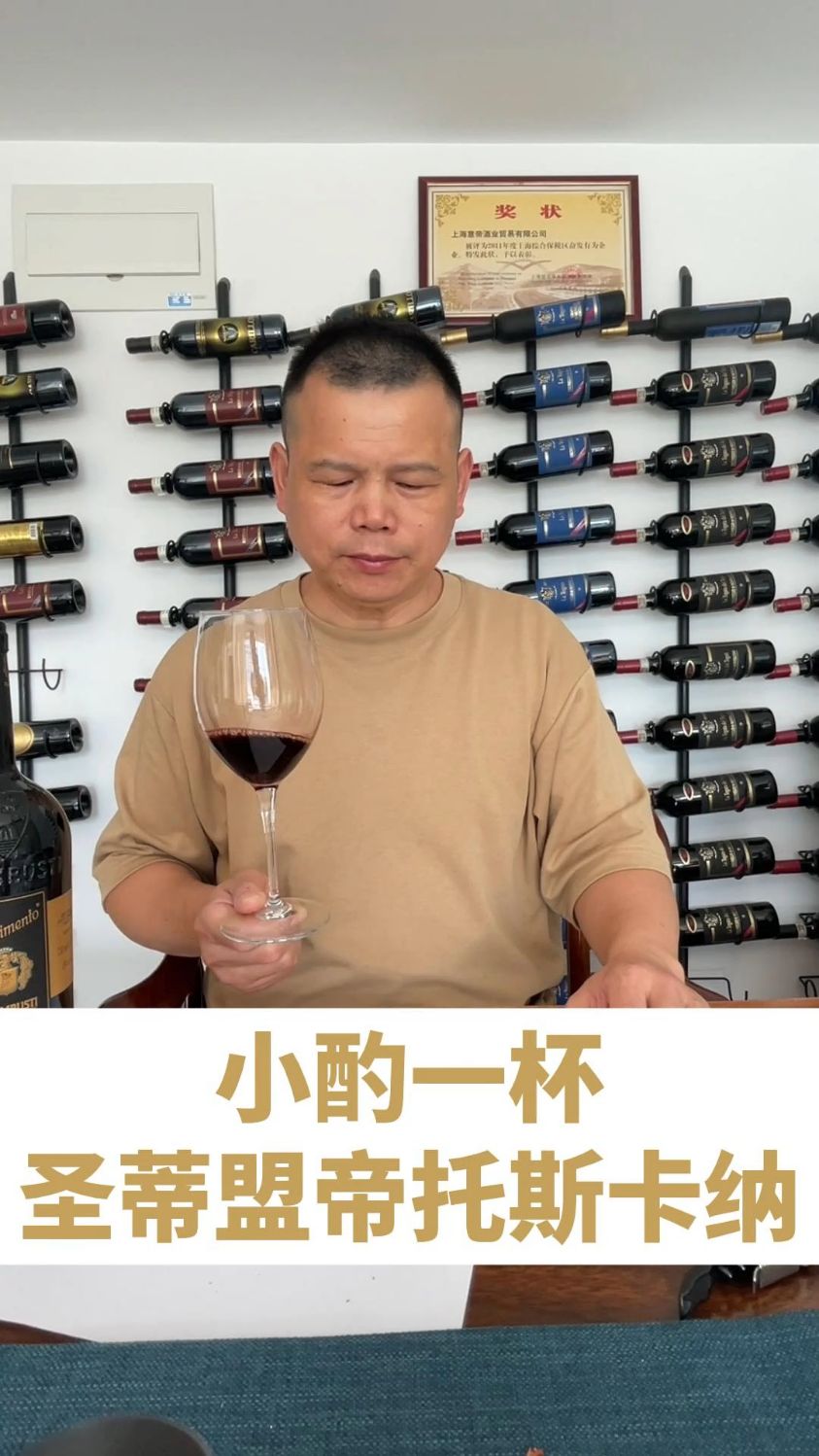 小酌一杯圣蒂盟帝托斯卡纳#今天喝了么#红酒