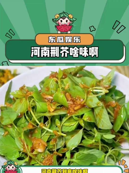 河南荆芥啥味啊！#河南荆芥# #河南#
