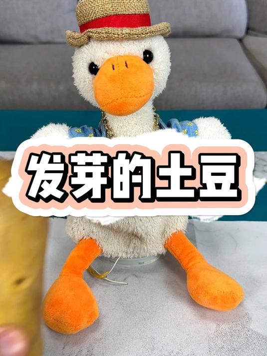 这个发芽的土豆能做点什么好吃的呢