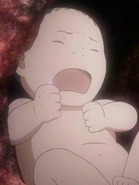 这颗樱花树生下了一个孩子