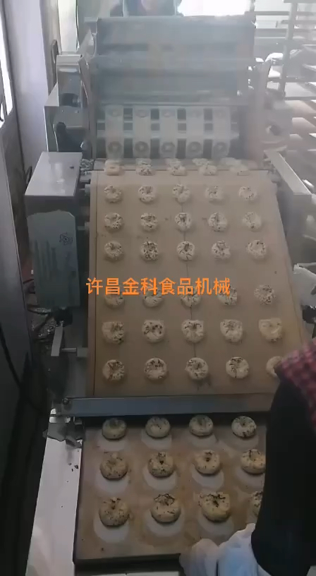 桃酥开做 桃酥机效率高 成型好 自动摆盘解放双手