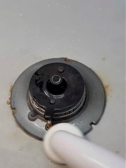 UWANT友望「旗舰」多功能蒸汽清洁机布艺清洗机高温高压洗吸一体全屋家用地毯沙发床垫招财猫