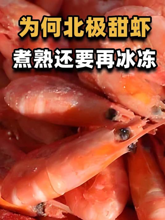 为什么北极虾是熟的?捕捞后直接煮熟加工,这样做的目的是什么