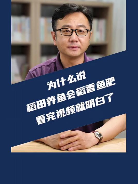 为什么说,稻田养鱼会稻香鱼肥,看完这条视频你就明白了