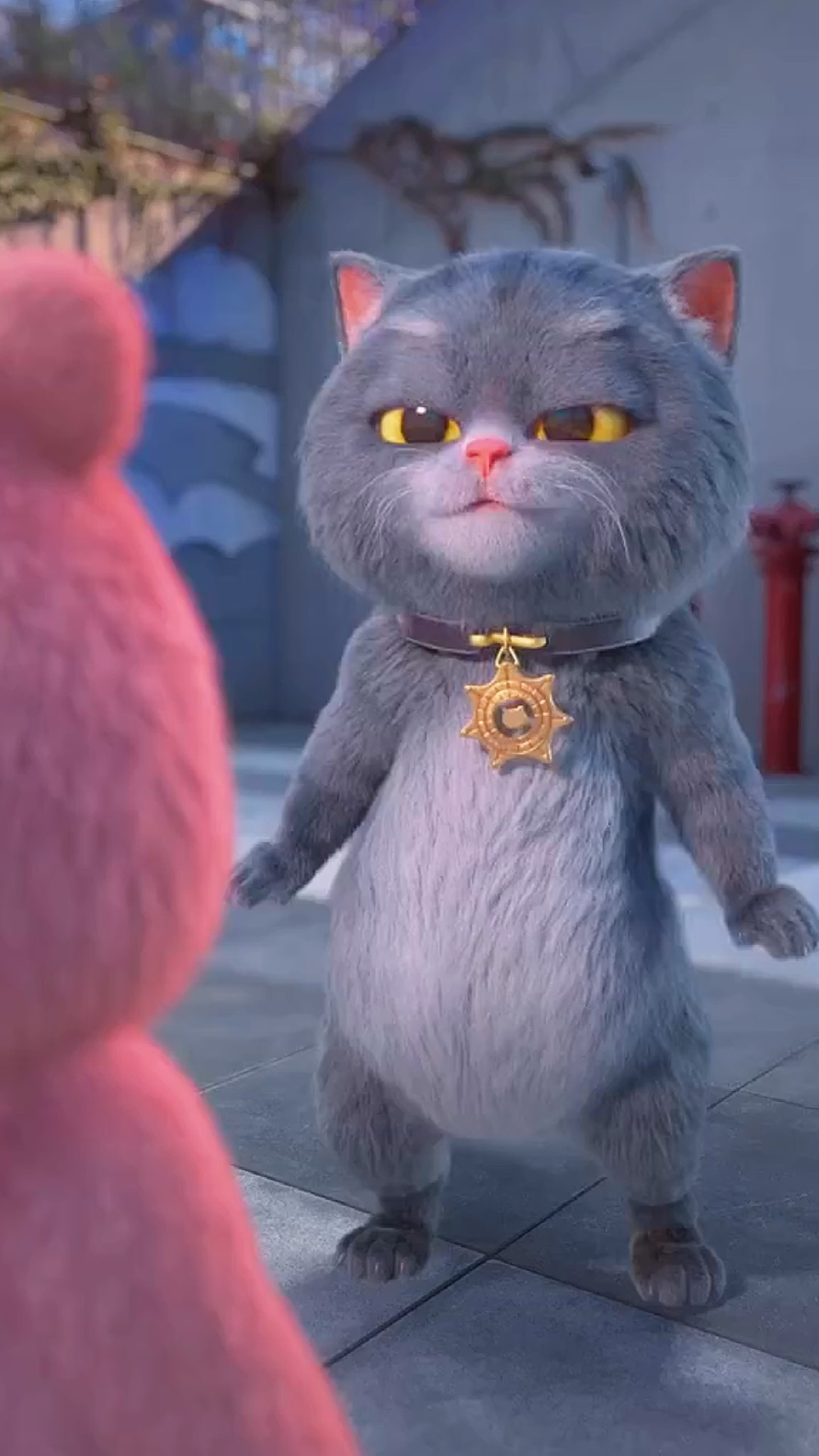 斑布猫和奇洛熊