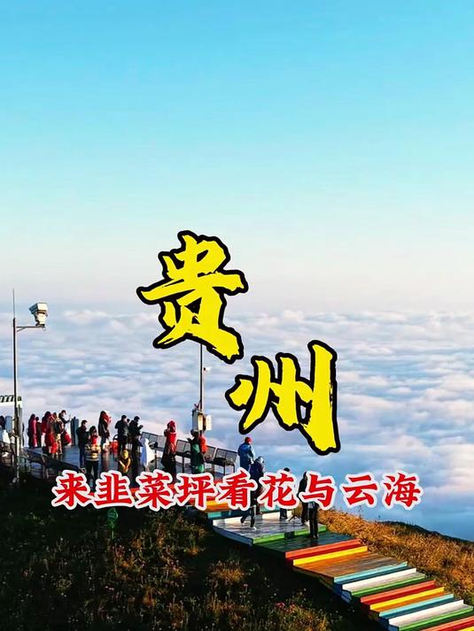 我们贵州的阿西里西韭菜坪花开了,现场打卡真的太美了