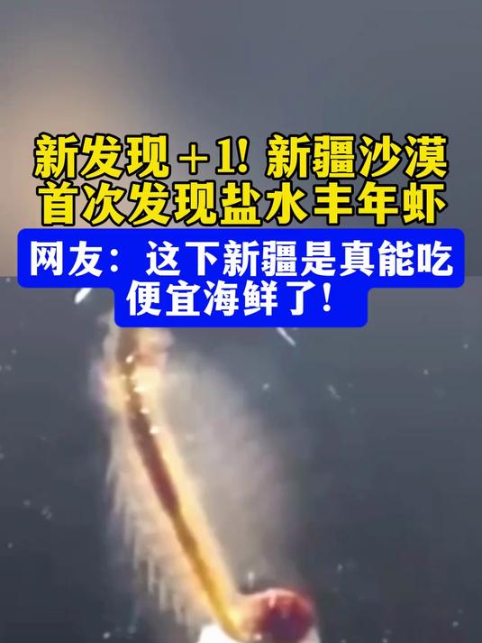 近日,塔里木大学科研团队首次在塔克拉玛干沙漠边缘,发现了嗜盐甲壳动物“盐水丰年虾”