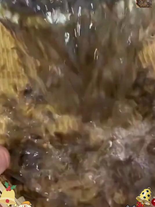 高钙小虾皮,替代鸡精味精,天然提鲜超安心