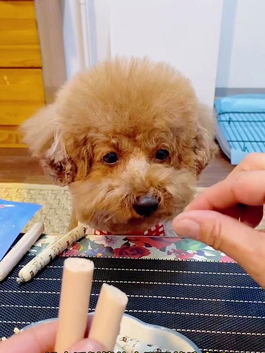 这款鸭肉鳕鱼肠营养又鲜美,狗子特别爱吃