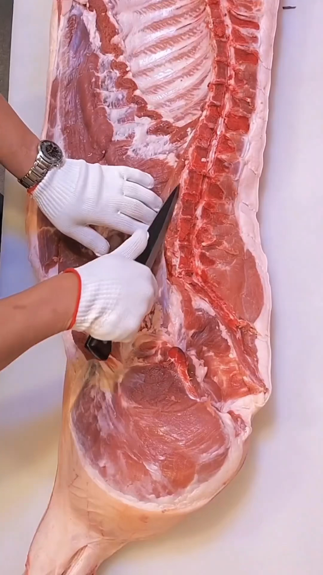 猪肉部位名称,学习起来吧