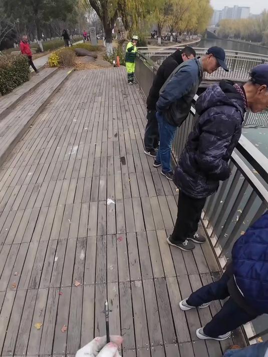 用弹弓钓鱼