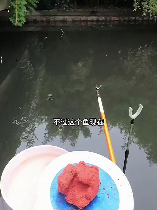 这怎么就是私人的,还有这虾怎么没了,钓鱼