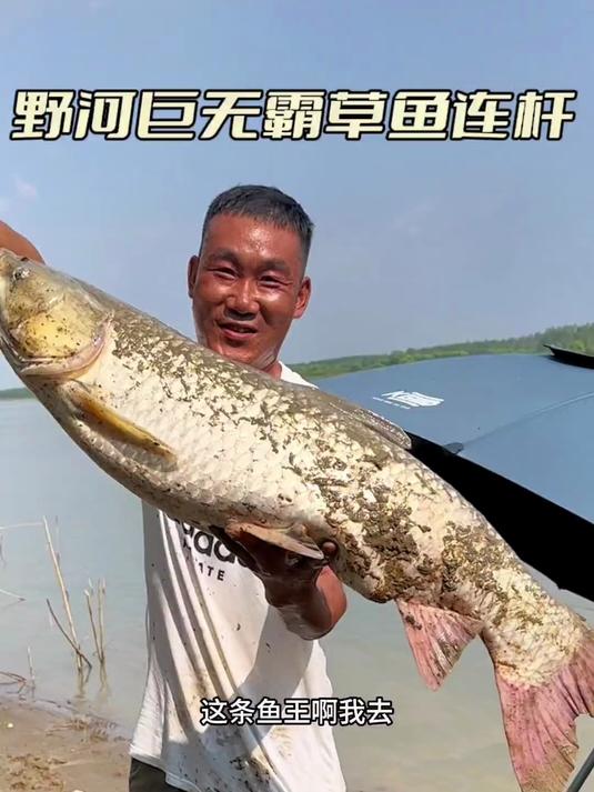 钓草鱼找好位子是关键 这样的钓位你会下杆吗?