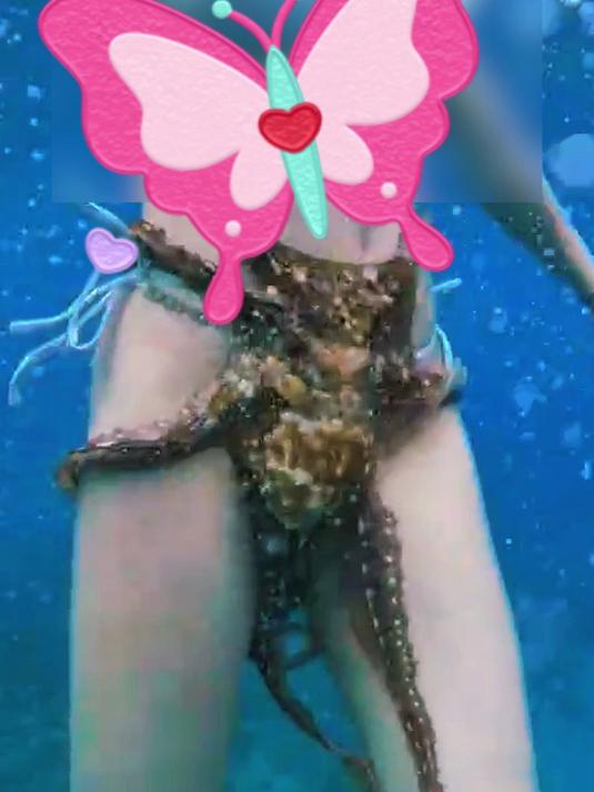 章鱼哥潜水海底世界赶海的快乐解压海洋生物水下绝美风景