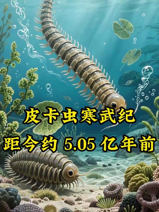 白带鱼演化全纪录：从远古到如今的蜕变
