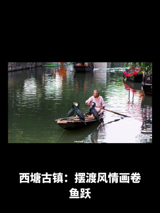 西塘古镇:摆渡风情画卷 鱼跃长廊添彩 莼菜羹沸留香