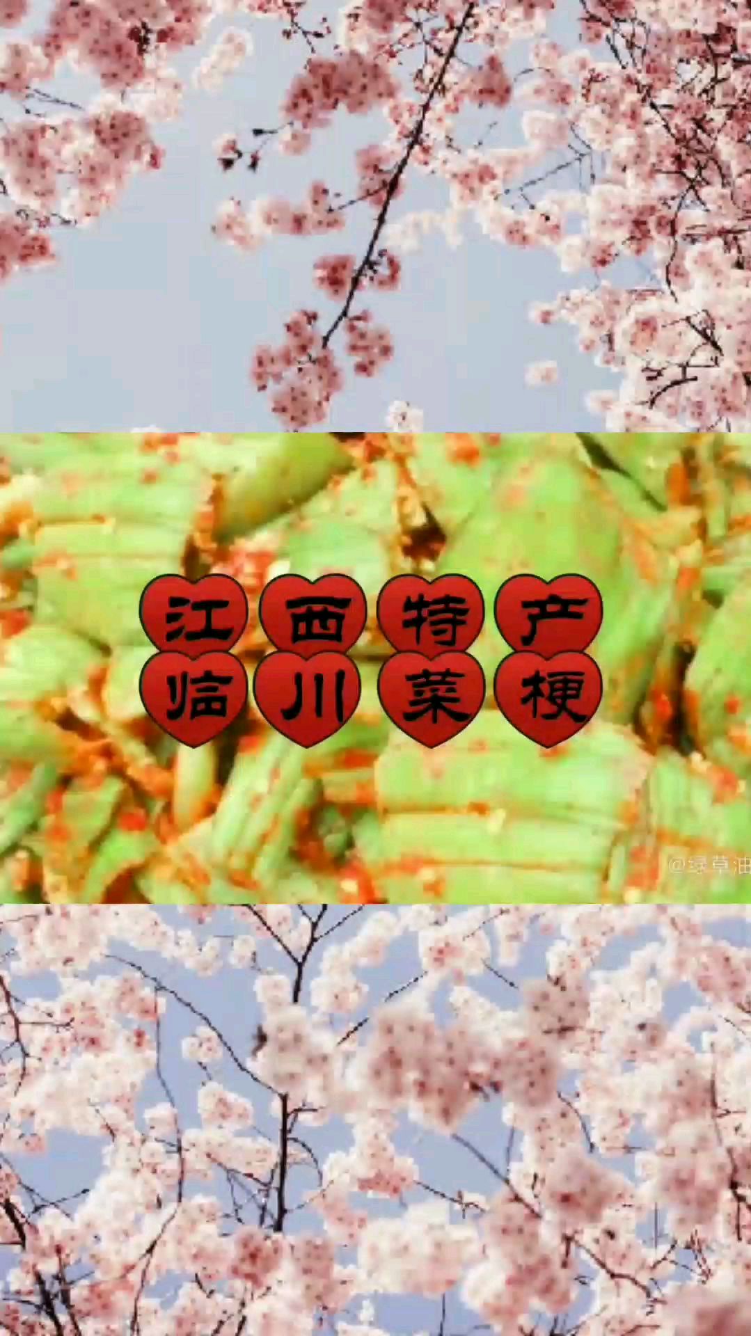 临川菜梗是江西特产,只有特产店才买得到,它的口感不输涪陵榨菜,在省内很有名