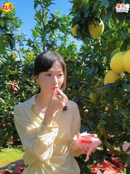 红心蜜柚甜度低_膳食纤维含量高管理期的姐妹都可以多吃