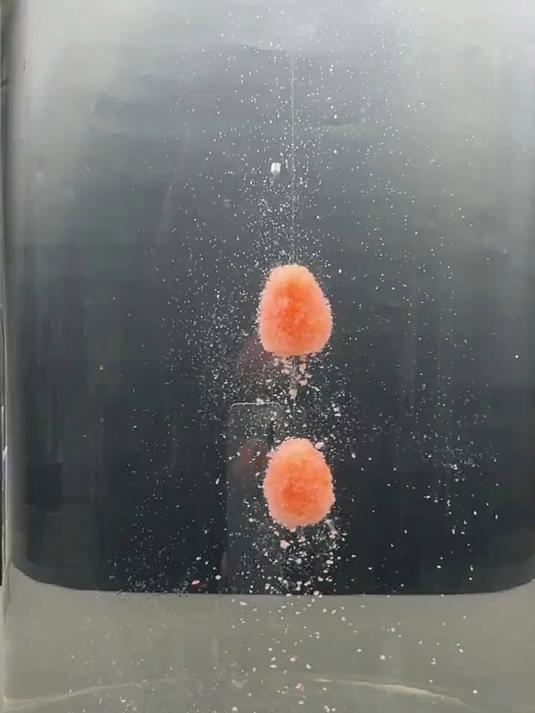 冬季钓鱼秘诀,南瓜酥拉饵,滑口鲫鱼鲤鱼的克星