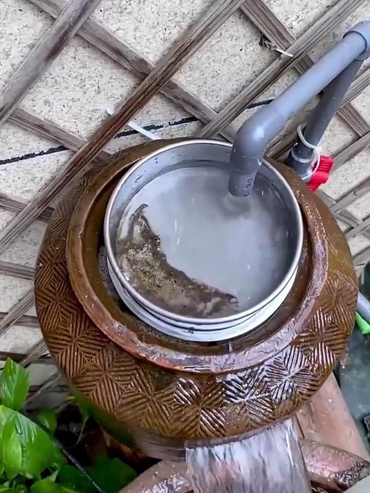 自从用了这个过滤网,我现在都不用过滤棉了#鱼便清理##鱼缸换水##过滤网筛#