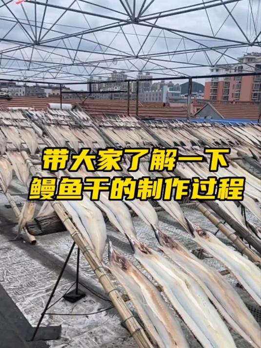日晒鳗鱼干无多余添加，营养丰富，自吃囤货送礼都合适#鳗鱼干家常做法##百家号618现金奖励