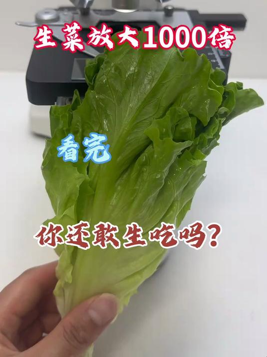 老铁们你们爱吃生菜吗？