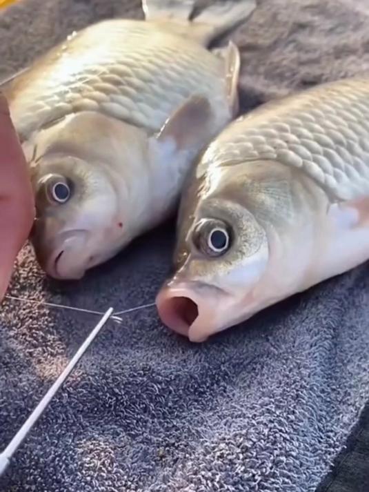 老婆给我买的多功能取钩器，可以绑鱼钩，子线打结，太实用了