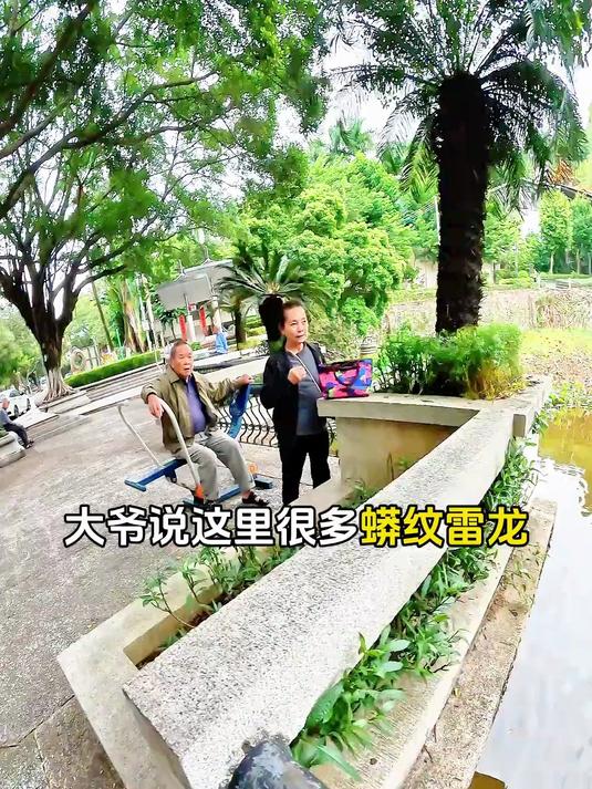 好运鱼 想不到这货也会吃假饵