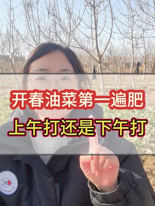 开春油菜第一遍肥,是上午打好还是下午打好