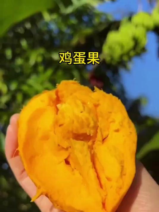 鸡蛋果吃法多样,可榨可拌超方便,美味新选择