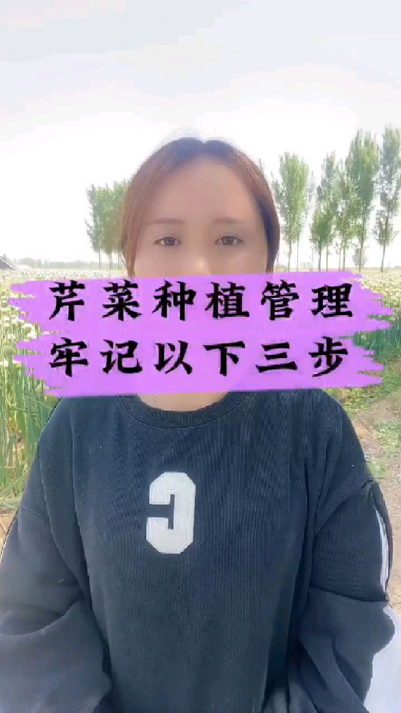 芹菜种植管理牢记以下三步