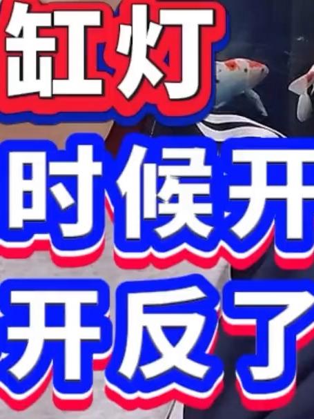 鱼缸灯什么时候开不要开反了
