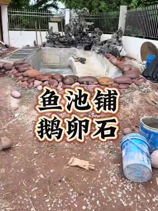鱼池的周围铺上鹅卵石好看多了顺便跟老龙说声对不起我让你丢脸了