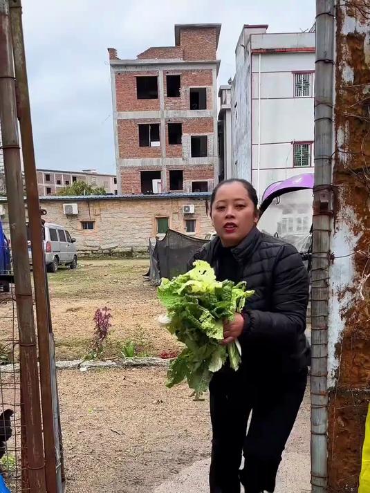 我们的鸭子吃了花姐的菜了吗?