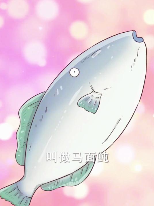 海鲜惊魂！耗儿鱼为啥子都没有头 我是不白吃