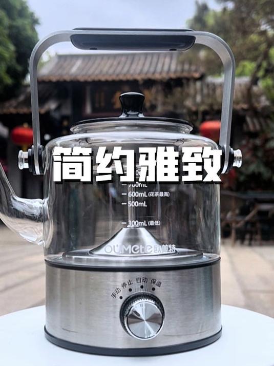 德国蒸汽煮茶器,蒸煮两用,煮茶满意再签收!