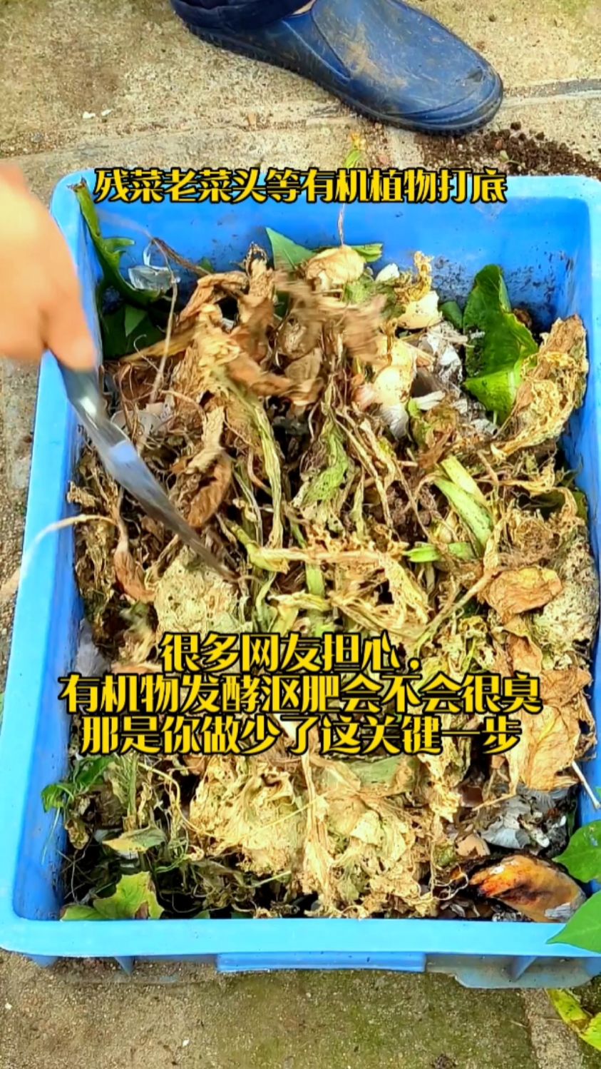 你还在担心楼顶阳台堆肥太臭吗?学会EM堆肥菌发酵残菜厨余沤肥,轻松开启都市有机种菜